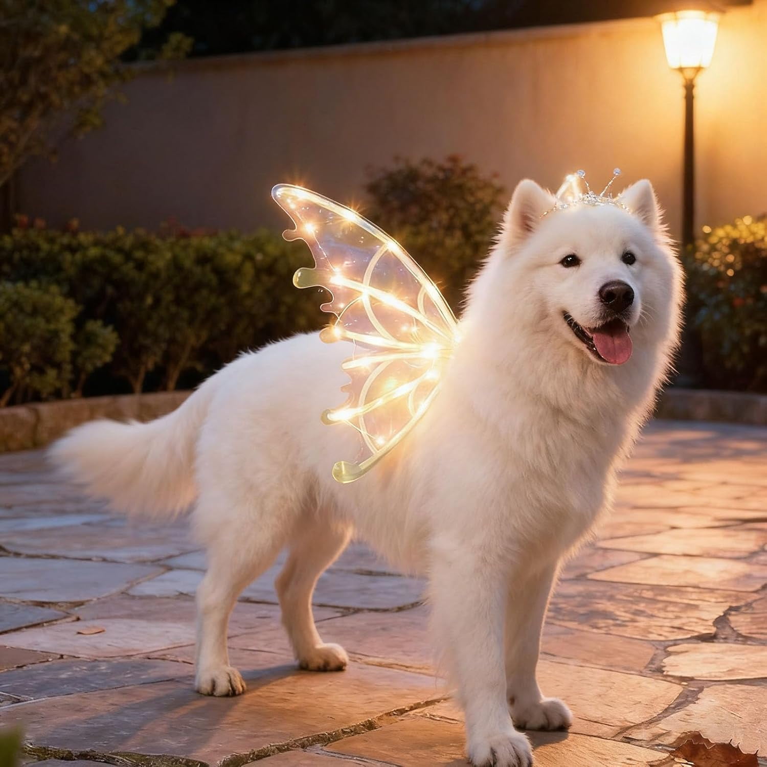 Light Up Fairy Wings for Dogs, Electric Fairy Wings with LED Lights, Parade Photo Props, Dress Your Dogs Like Butterfly, Dog Fairy Wings Light Up for Halloween Christmas & Party Cosplay