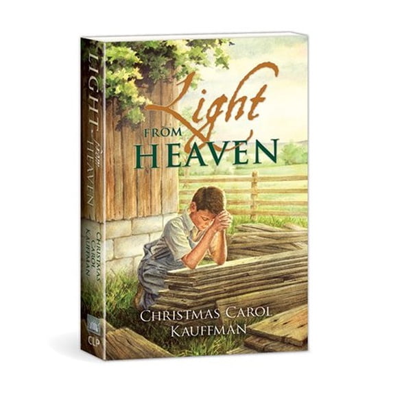 Pre-Owned Light From Heaven (Paperback) 0878139702 9780878139705