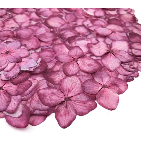 Light Fuchsia Hydrangea Dried Flowers, 96Pcs Natural Dried Pressed Flower Petals for Resin Art Scrapbooking Jewelry Making DIY Crafts