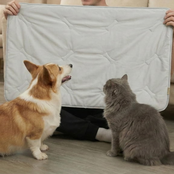 Light Gray 35" x 23" Pet Crate Pad for Dogs and Cats