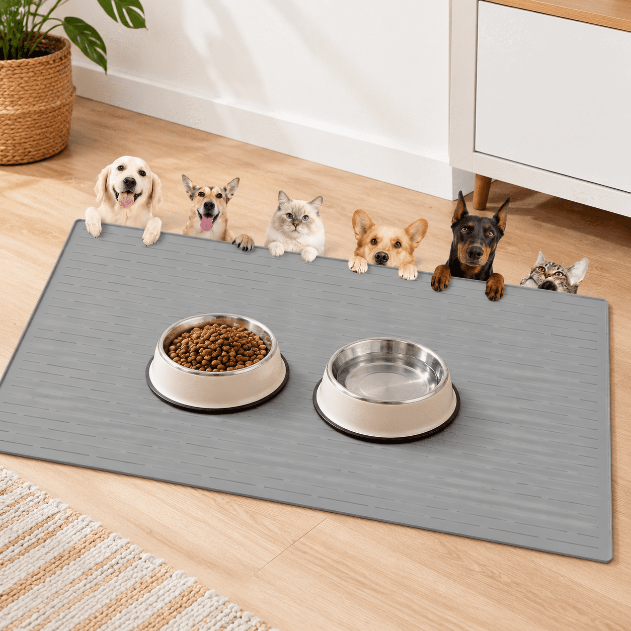 Light Gray Mat 51.2