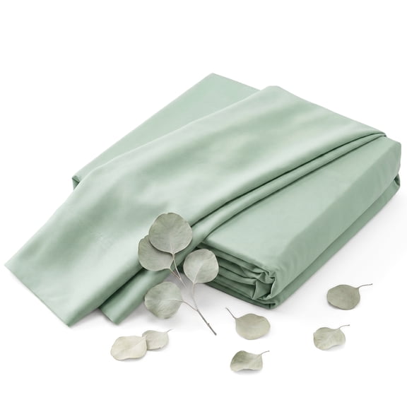 Light Green Eucalyptus Premium 4-Piece Tencel Lyocell Sheet Set, Silky Soft 100% Tencel, Oeko-TEX Certified, Queen - Porcelain