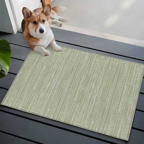 Light Green Small Area Rugs 2x3 Country Vintage Minimalist Solid Color Backdrop Entryway Rugs Washable Door Mat, Low-Profile Area Rugs Non Slip Floor Carpet for Living Room Bedroom Home Office