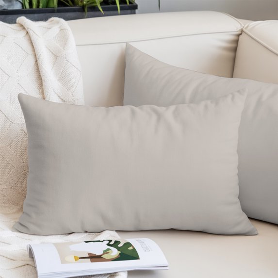 Light Grey Pillow Protectors with Zipper Standard Size, Modern Farmhouse Solid Color Minimalist Soft Brushed Microfiber Breathable Throw Pillow Covers, Pillowcase for Sofa Couch Bedroom 20"x26"