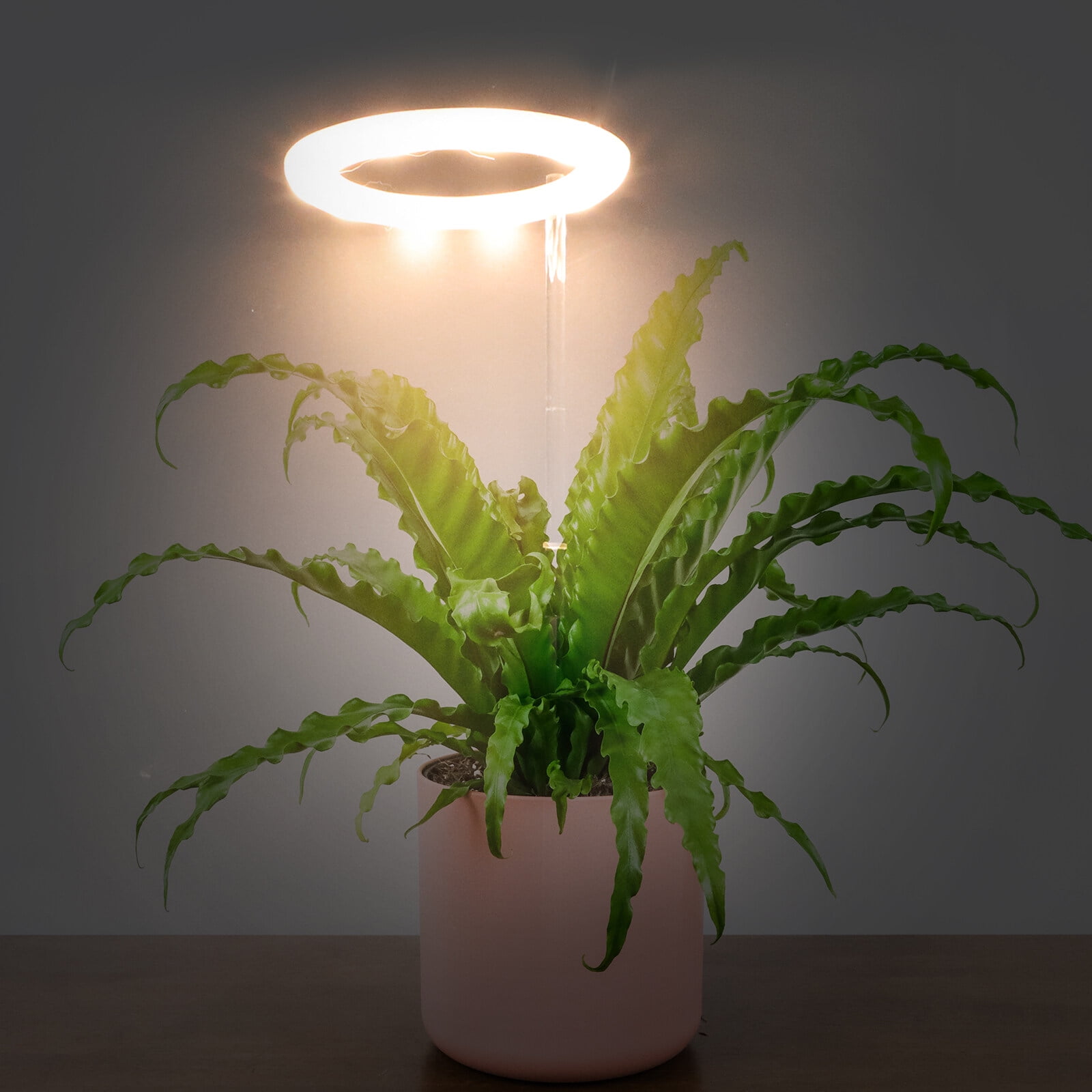 Light Grow Plant Lights Lamp Led Indoor Plants Growing Growth Flower