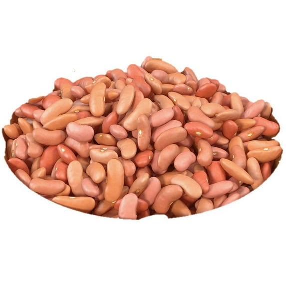 Aiva Light Kidney Beans 4 LB | Dry Beans | Light Kidney Beans