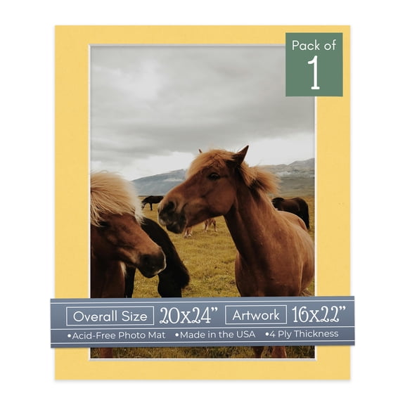 Light Orange Picture Frame Mat for 20x24 Frames - Fits 16x22 Photos - 1 Mat