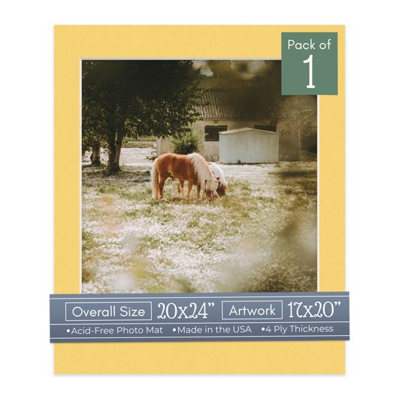Light Orange Picture Frame Mat for 20x24 Frames - Fits 17x20 Photos - 1 Mat