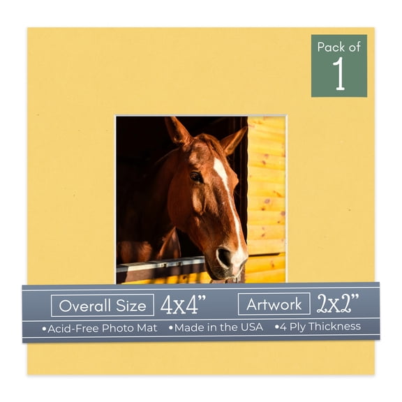 Light Orange Picture Frame Mat for 4x4 Inch Frames - Fits 2x2 Photos - 1 Mat