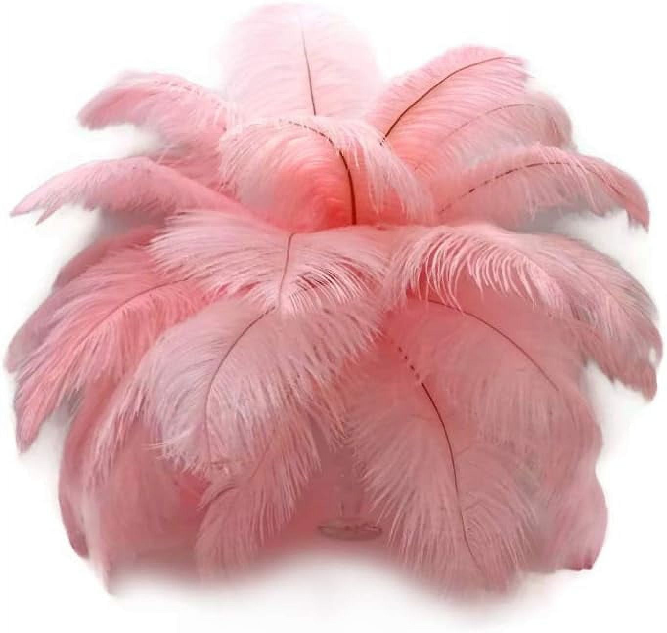 Long Ostrich Feathers, Long Feathers for Kids