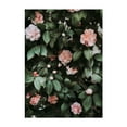 thumbnail image 1 of Light Pink Camellias - Visalia California Photography Floral Flowers Botanical Garden Nature Pastel Vintage Unframed Wall Art Print 18 x 24 inches, 1 of 16