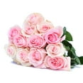 thumbnail image 1 of Light Pink Fresh Cut Roses, 1 of 1