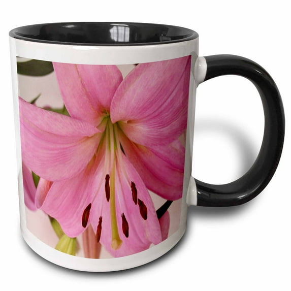 3drose, Light Pink Oriental Lily, 15oz Two-tone Black Mug