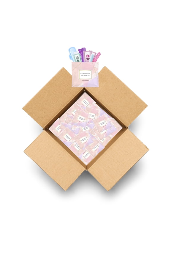 Light Rose Style Menstrual Kit All-in-One 60 Pack | Convenience on The Go | Period Kit Pack for Travelling, Tweens & Teenagers or just When Youre Out | Individually Wrapped Feminine Hygiene Product