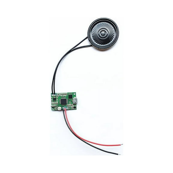 Light Sensor Activated Sound Player Module