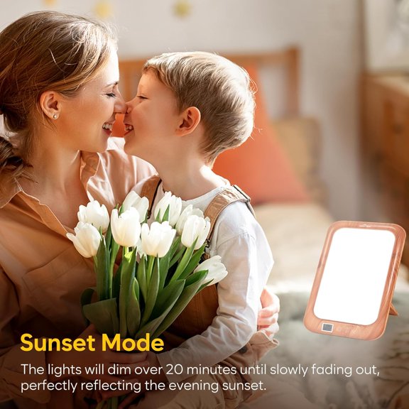 Light Therapy Lamp: LED Light Therapy Energy Lamp UV-Free with 10000 Lux | Sun Lamp with 3 Color Adjustable Brightness Levels | Timer Memory Function ELT-492-WG