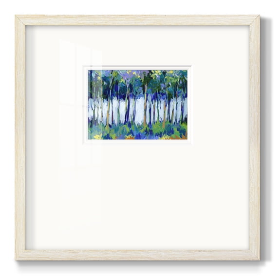 Light Through the TreesPremium Framed Print
