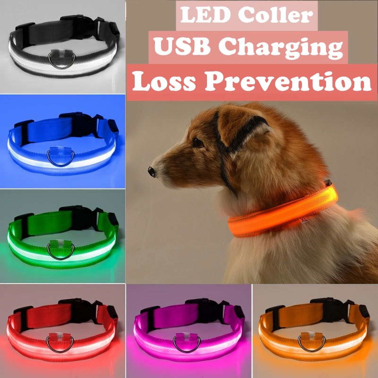 Light Up Collar, USB Rechargeable LED Dog Collar for Safety at Night, Bright Lighted Collar for