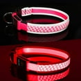 Light Up Dog Collars Led Dog Collar Usb Rechargeable Safety Lighted Dog