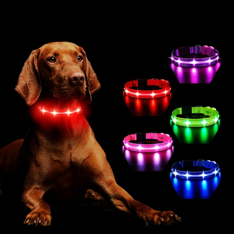 Light Up Dog Collars Rgb Led Collar For Dogs Rechargeable Lighted Dog Collar Water Resistant Colorful Glow In The Dark Dog Collars For Night Walking Walmart