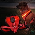 thumbnail image 1 of Light Up Leash Adjustable Reflective Harness Usb Rechargeable Led Collar Night Hiking Harness Chest Strap Birthday Gift For Pet Dog Cat M, 1 of 4