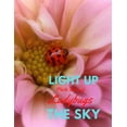 thumbnail image 1 of Light Up the Sky Photo Book of Ladybugs: Picture Book of Full Color Photography of Ladybugs and Flowers, 1 of 1