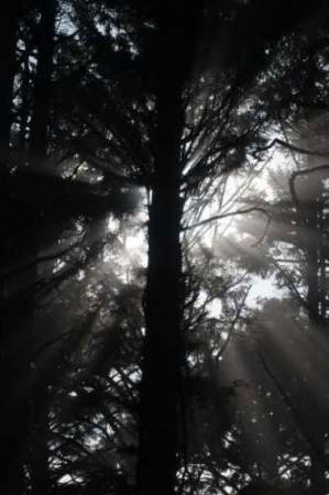 Light and Shadows I Canvas Art - Erin Berzel (20 x 28)