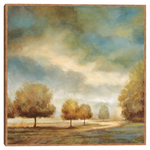 Light and Shadows I by Jeffrey Leonard Framed Canvas Art Print