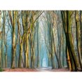 thumbnail image 1 of Light and Trees Poster Print by Lars Van de Goor, 1 of 1