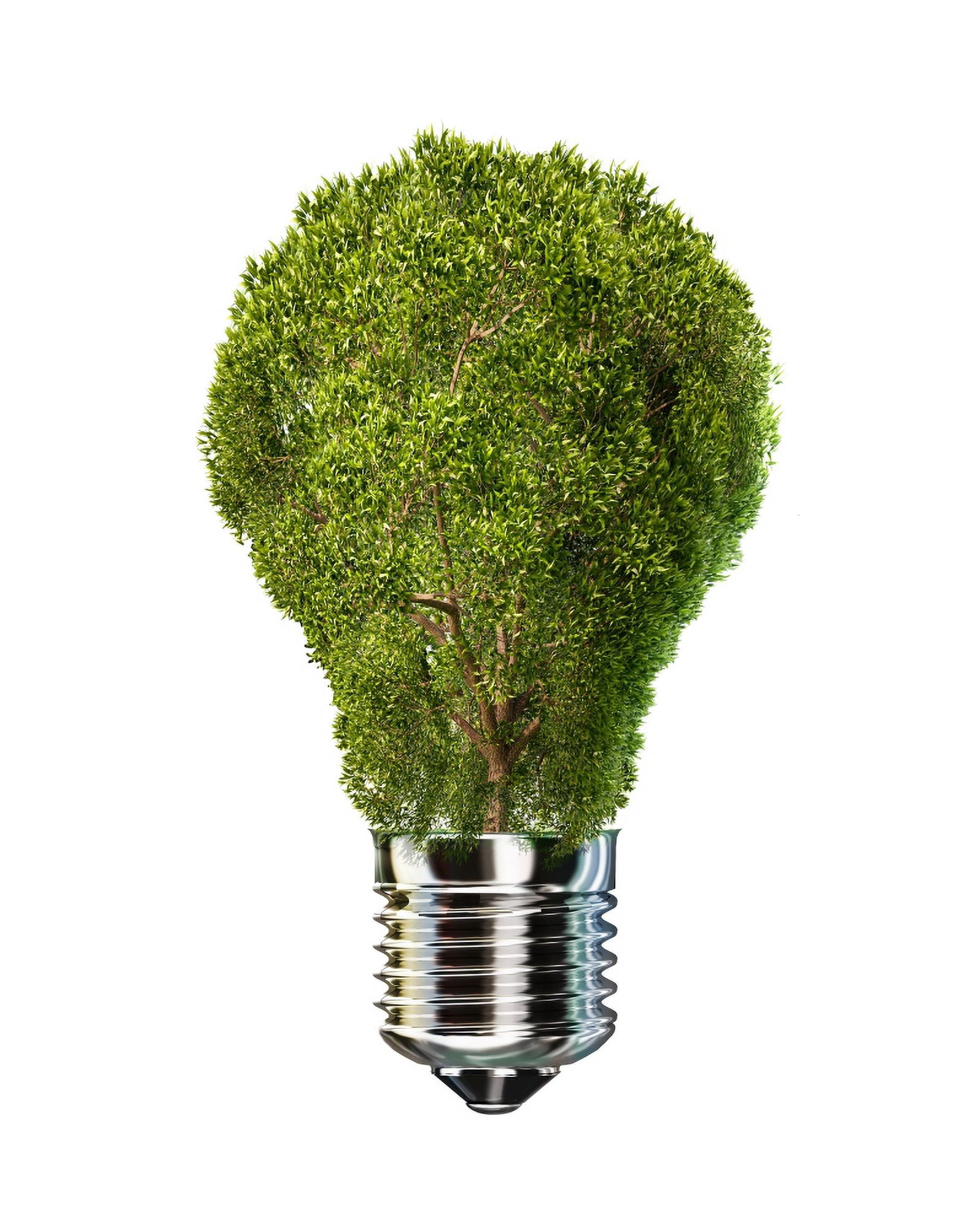 Light bulb with tree inside glass isolated on white background Canvas Art - Leonello CalvettiStocktrek Images (26 x 32)