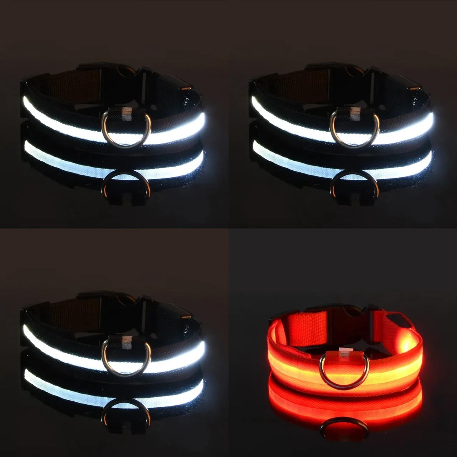 Thumbnail for Pet Safe Led Dog Walking Leashes For Evening Strolls