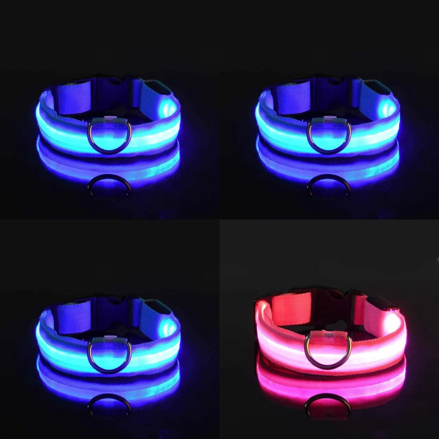 Light up your evening strolls with this long-lasting reflective and ... - Pet Safe Led Dog Walking Leashes For Evening Strolls