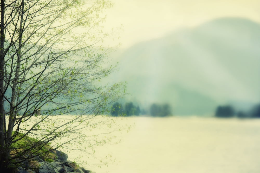 Light streams over a mountain at a coastal inlet alaska usa Canvas Art - Roberta Murray Design Pics (19 x 12)