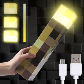 Light-up Wall Torch - Batteries & USB Pluggable Night Lamp - Hand Held or Wall Mount Lighting Torch Three-Level Brightness
