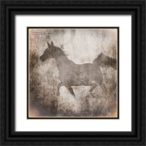 LightBoxJournal 12x12 Black Ornate Wood Framed with Double Matting Museum Art Print Titled - GypsyHorse Collection V2 7