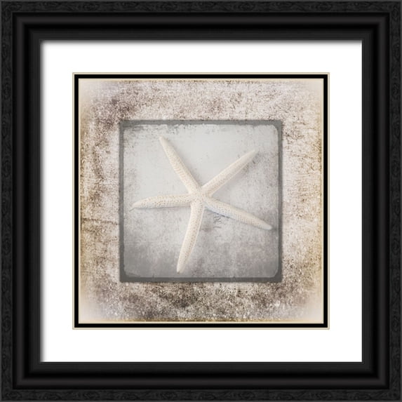 LightBoxJournal 12x12 Black Ornate Wood Framed with Double Matting Museum Art Print Titled - Stone Star 3
