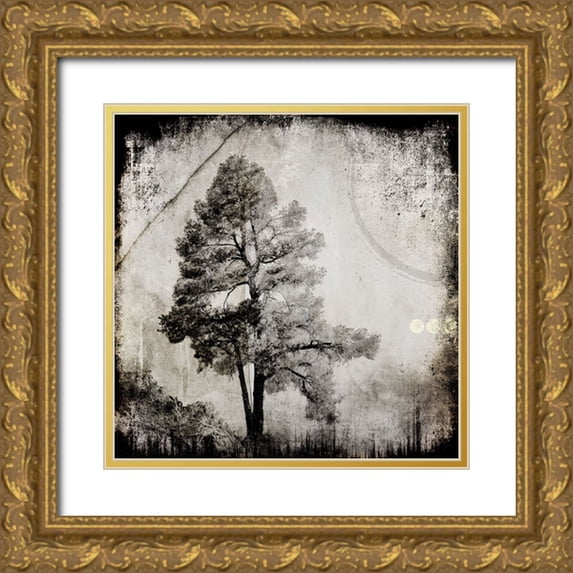 LightBoxJournal 12x12 Gold Ornate Wood Framed with Double Matting Museum Art Print Titled - July Tree 12