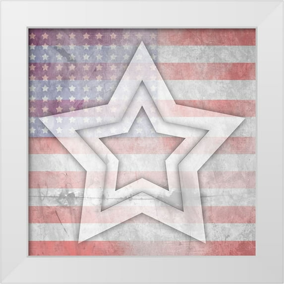 LightBoxJournal 12x12 White Modern Wood Framed Museum Art Print Titled - American Born Free Sign Collection V10