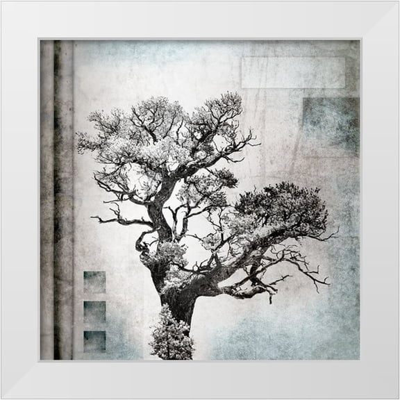 LightBoxJournal 12x12 White Modern Wood Framed Museum Art Print Titled - August Tree 4