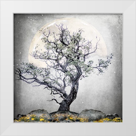 LightBoxJournal 12x12 White Modern Wood Framed Museum Art Print Titled - August Tree 5
