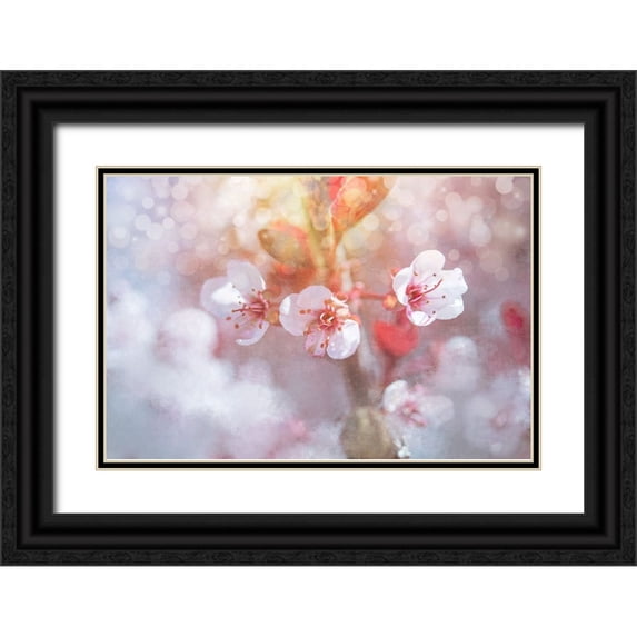 LightBoxJournal 14x11 Black Ornate Wood Framed with Double Matting Museum Art Print Titled - Spring Blooms 06