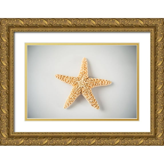 LightBoxJournal 14x11 Gold Ornate Wood Framed with Double Matting Museum Art Print Titled - Sea Star 4