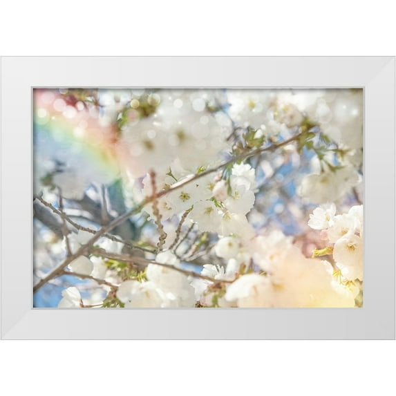 LightBoxJournal 14x11 White Modern Wood Framed Museum Art Print Titled - White Spring Blossoms 09