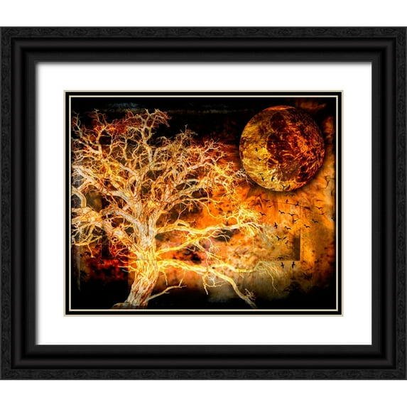 LightBoxJournal 14x12 Black Ornate Wood Framed with Double Matting Museum Art Print Titled - A Ravens World