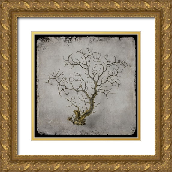 LightBoxJournal 15x15 Gold Ornate Wood Framed with Double Matting Museum Art Print Titled - Golden Sea 2