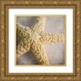 thumbnail image 1 of LightBoxJournal 15x15 Gold Ornate Wood Framed with Double Matting Museum Art Print Titled - Under the Sea 03, 1 of 4