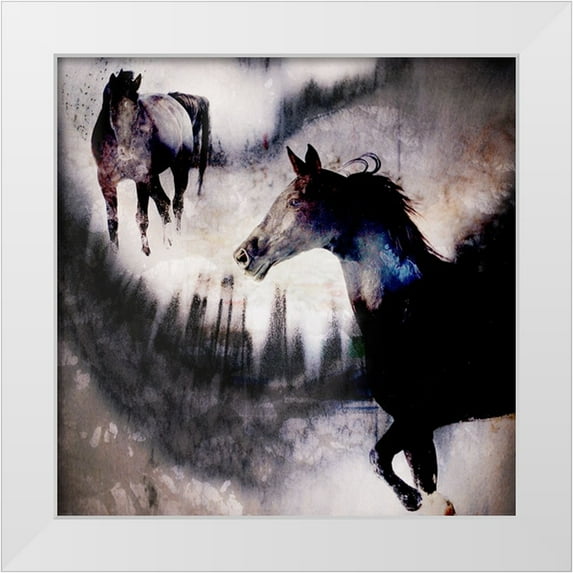 LightBoxJournal 15x15 White Modern Wood Framed Museum Art Print Titled - Black Mare - Dream 1