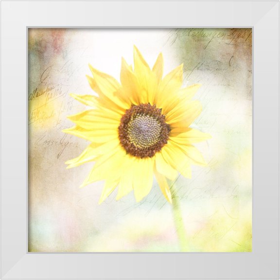 LightBoxJournal 15x15 White Modern Wood Framed Museum Art Print Titled - JunkGypsy 39