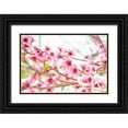 thumbnail image 1 of LightBoxJournal 18x13 Black Ornate Wood Framed with Double Matting Museum Art Print Titled - Naturally Cherry 02, 1 of 4