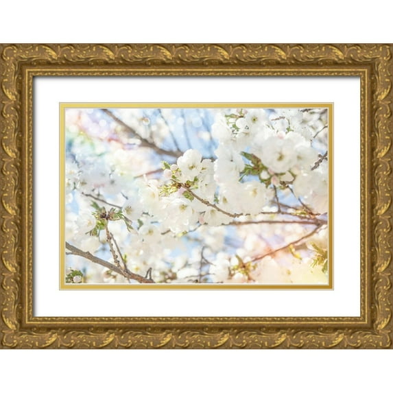 LightBoxJournal 18x13 Gold Ornate Wood Framed with Double Matting Museum Art Print Titled - White Spring Blossoms 02